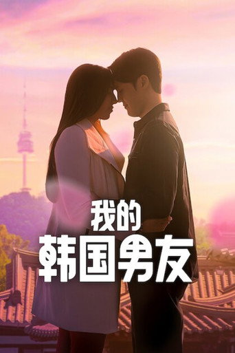 我的韩国男友海报