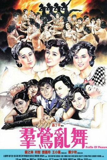 群莺乱舞海报