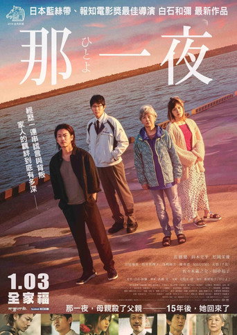 一夜海报