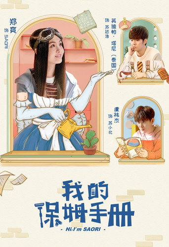 我的保姆手册海报