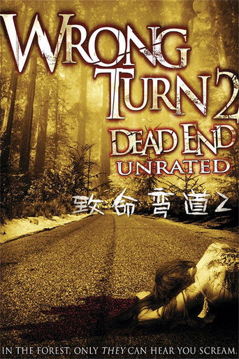 致命弯道2:死路海报