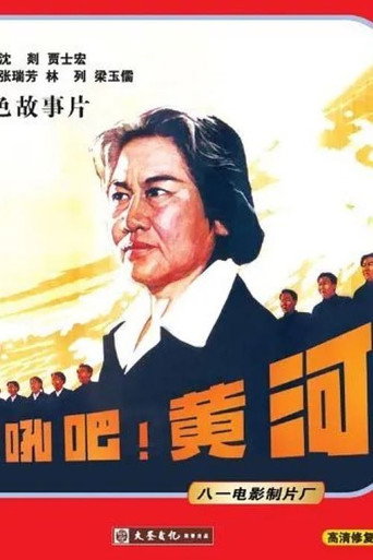 怒吼吧！黄河海报