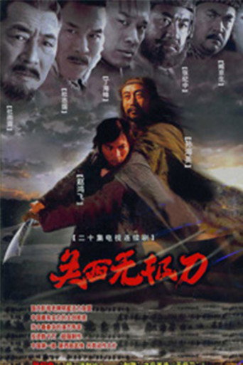 关西无极刀海报
