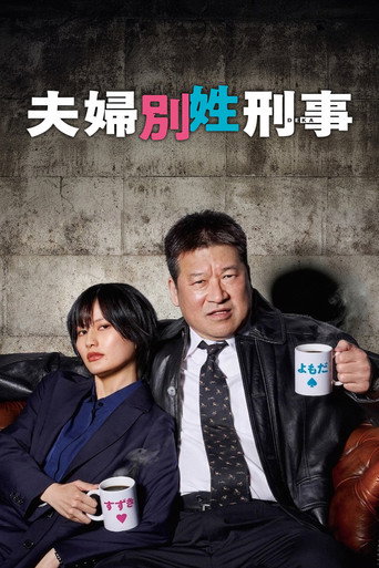 夫妇别姓刑警海报