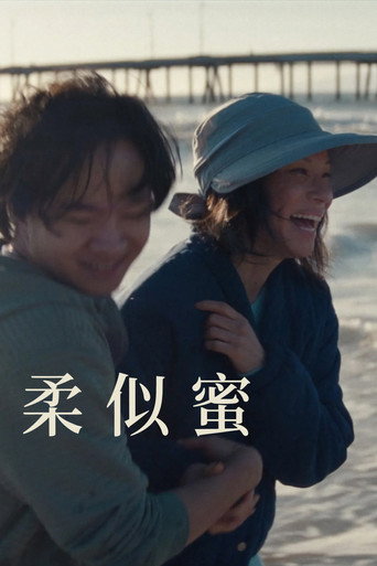 柔似蜜海报
