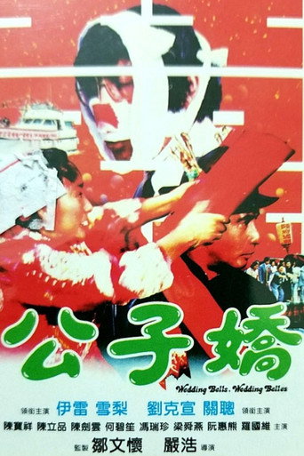 公子娇海报
