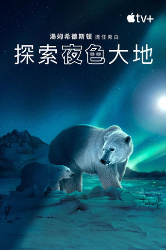 探索夜色大地 第二季海报