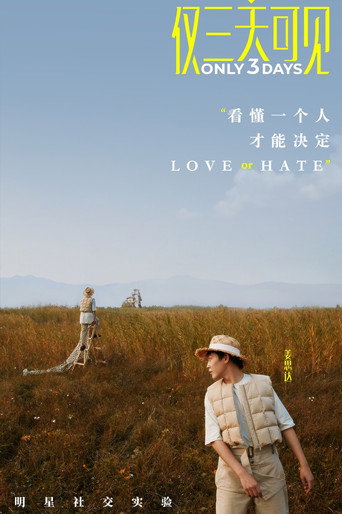 仅三天可见海报