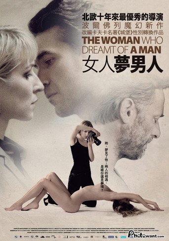 思春少妇海报