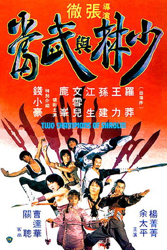 少林与武当海报