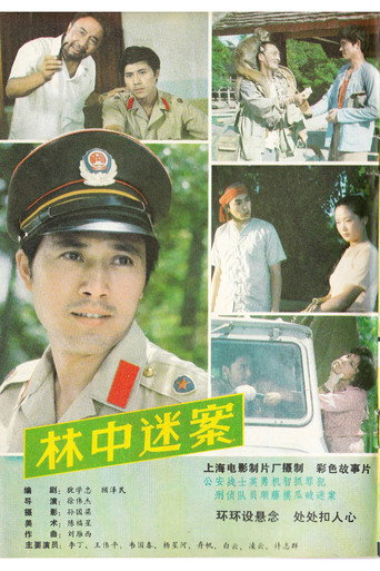 林中迷案海报