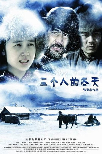 三个人的冬天海报