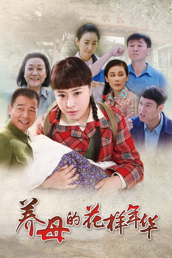 养母的花样年华海报