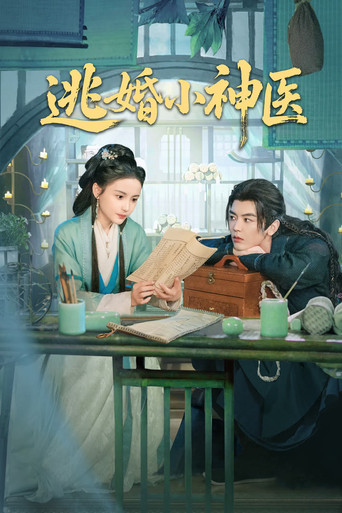 逃婚小神医海报