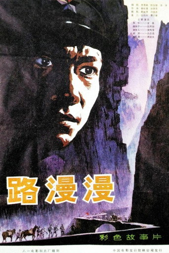 路漫漫海报