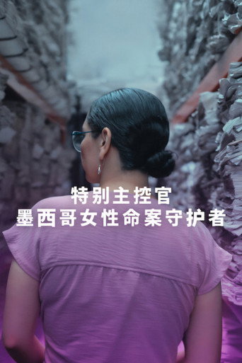特别主控官：墨西哥女性命案守护者海报