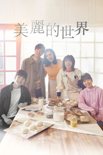 美丽的世界海报
