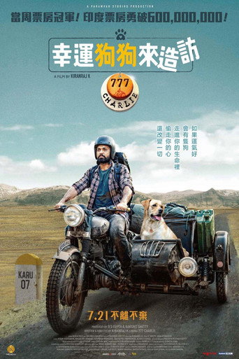 幸运之犬海报