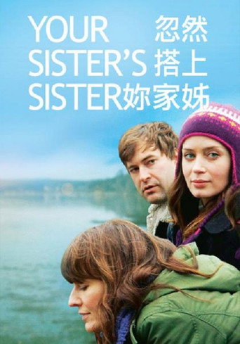 姐妹情深海报