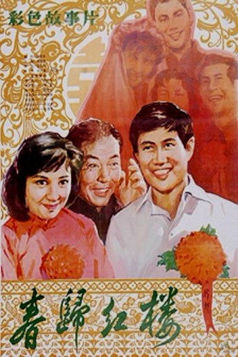 春归红楼海报