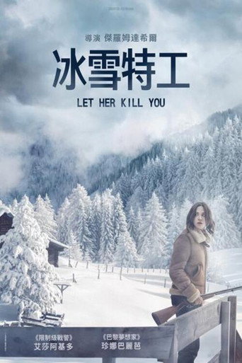 冰雪特工海报