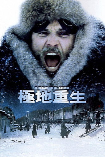 极地重生海报