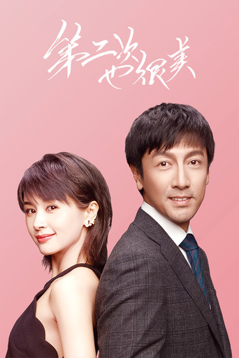 第二次也很美海报