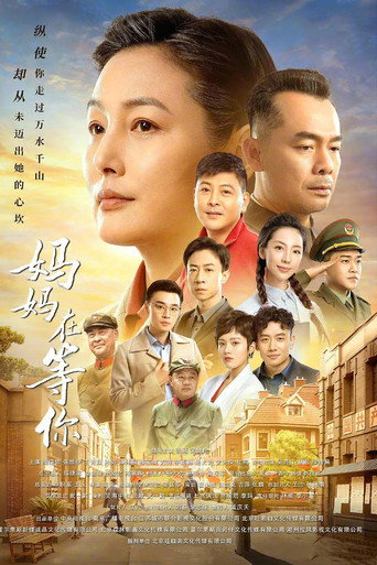 妈妈在等你海报