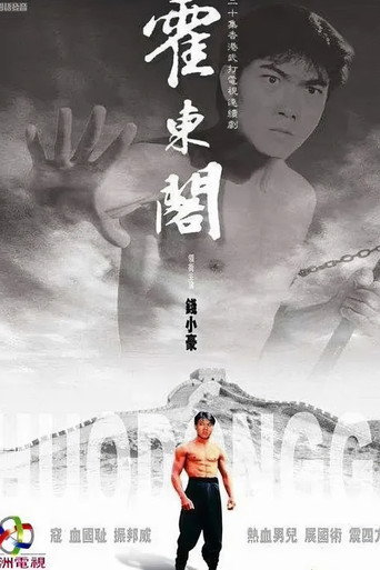 霍东阁海报