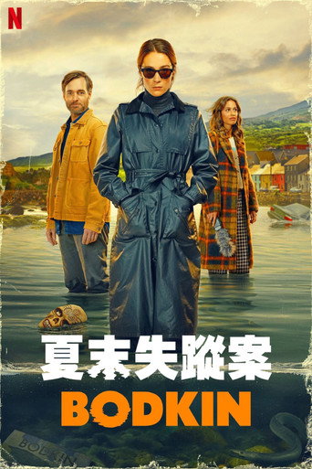 夏末失踪案海报