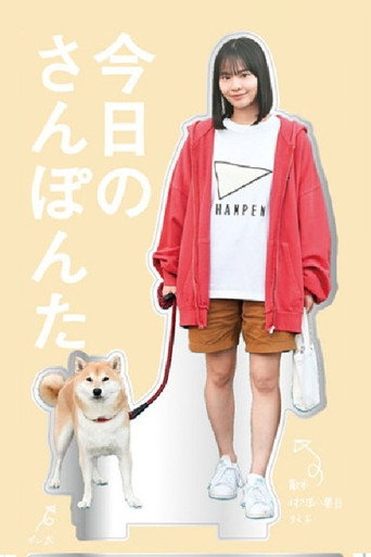 今日份的散步海报