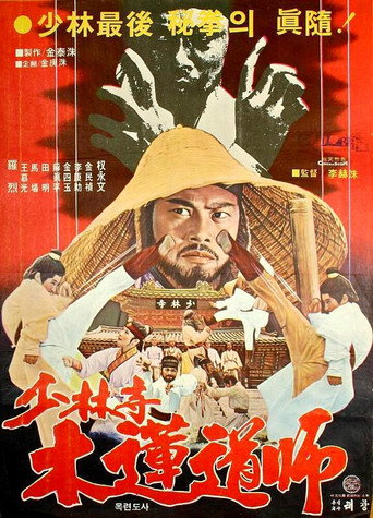 龙拳小子海报