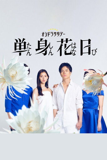 单身初恋日记海报