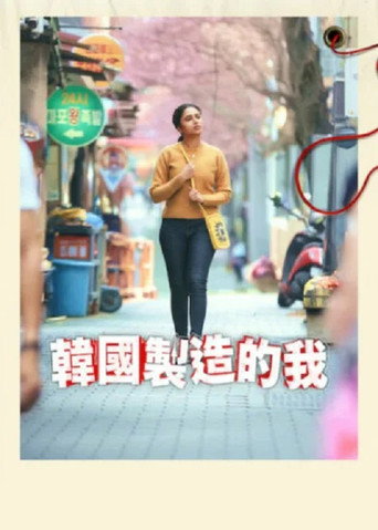 韩国制造的我海报