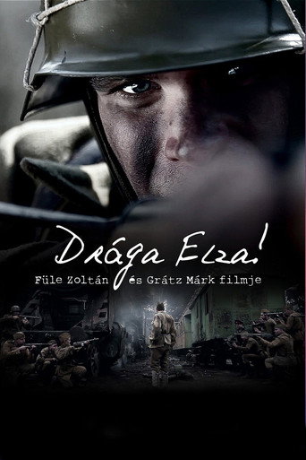 亲爱的艾尔莎海报