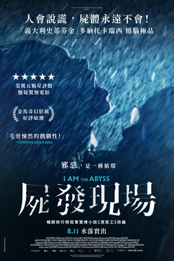 我是深渊海报