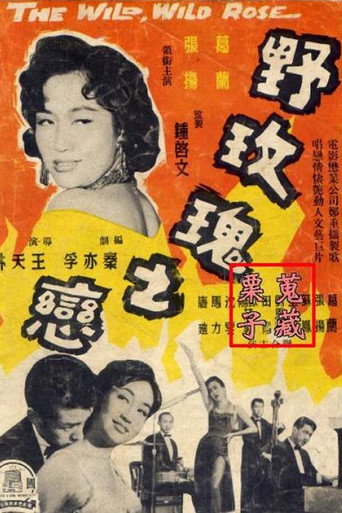 野玫瑰之恋海报