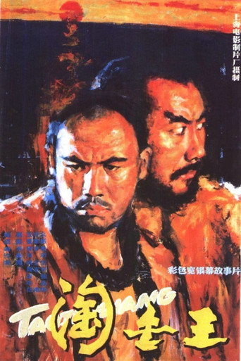 淘金王海报