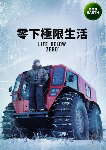 零度以下的生活海报