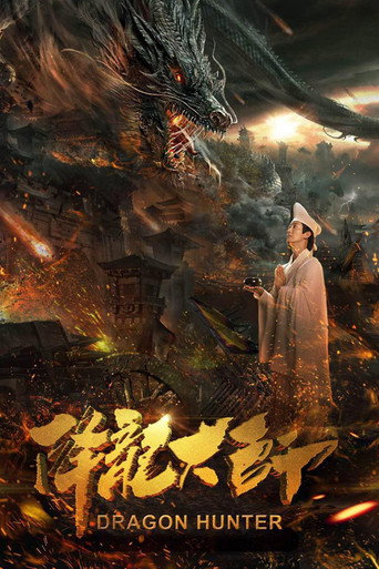 降龙大师海报