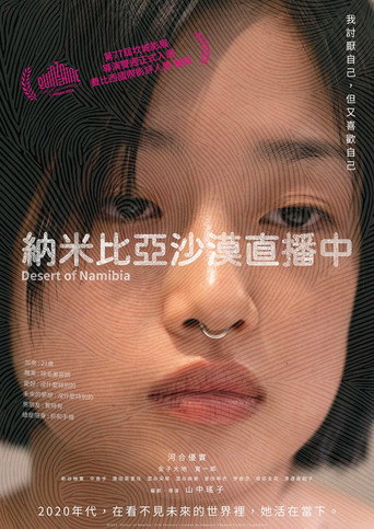 纳米比亚的沙漠海报
