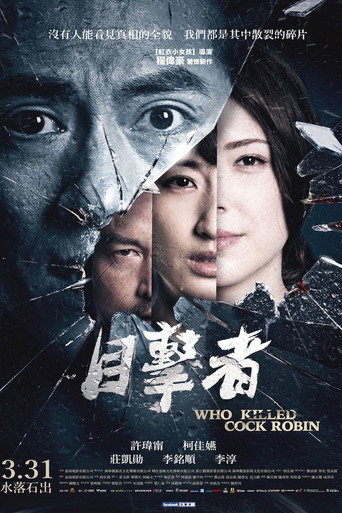 目击者之追凶海报
