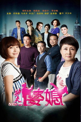 功夫婆媳海报