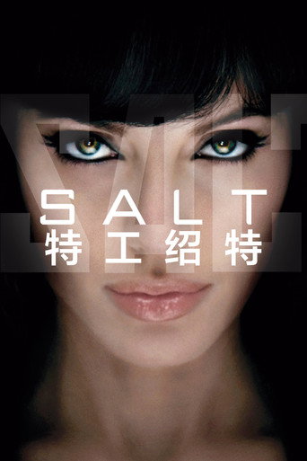 特工绍特海报