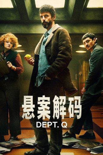 悬案解码海报
