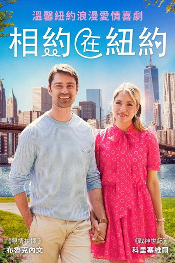 相会在纽约海报