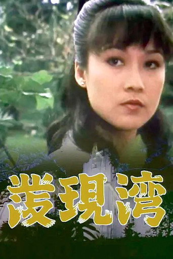 发现湾海报