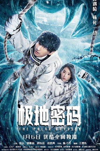 极地密码海报