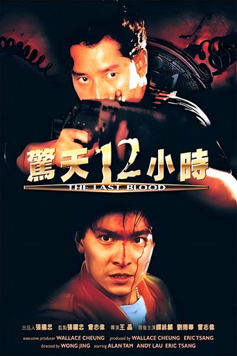 惊天12小时海报