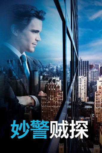 妙警贼探海报